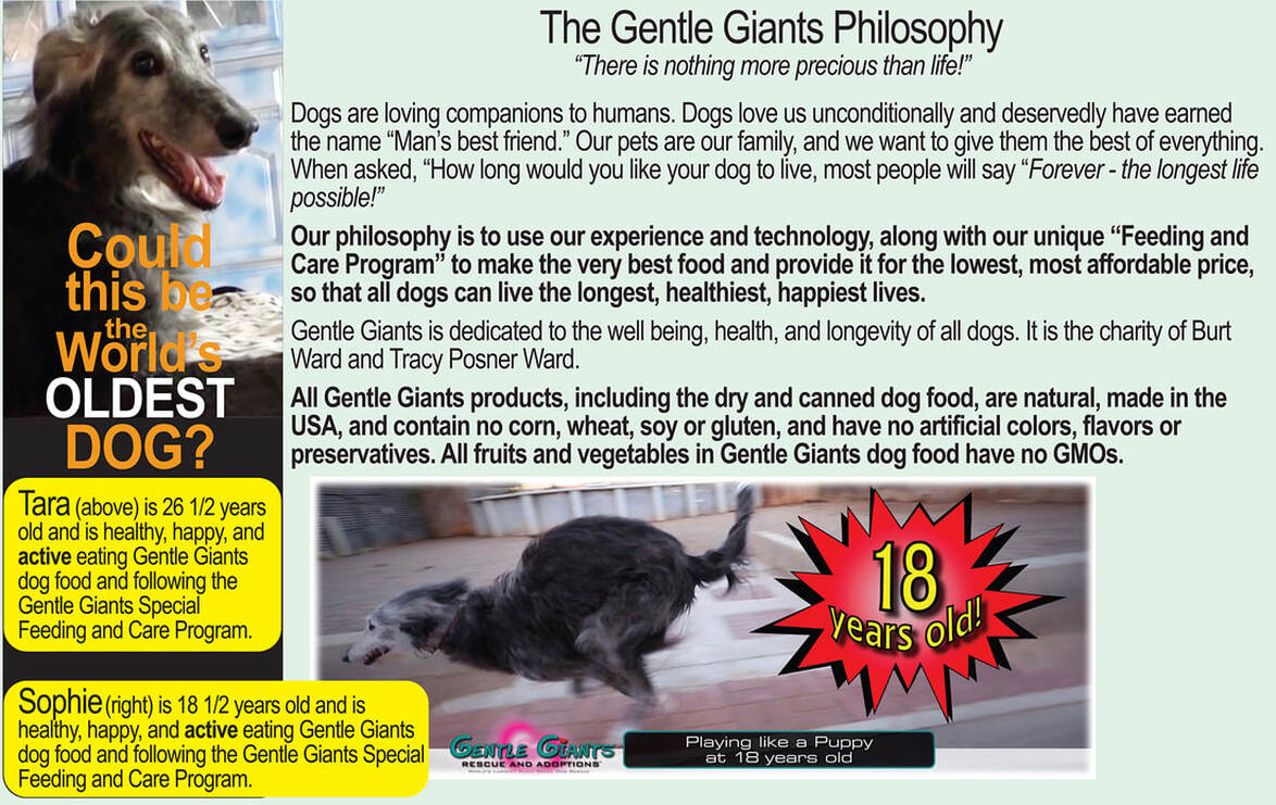 gentle giants dog food for puppies